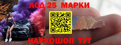 индика Обнинск