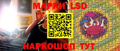 индика Обнинск