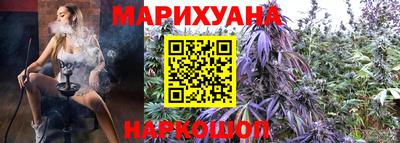 индика Обнинск