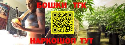 индика Обнинск