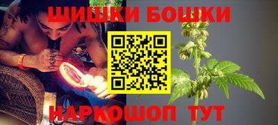 индика Обнинск